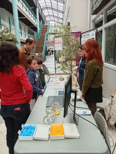 Lin ou plastique : Projet Colibri